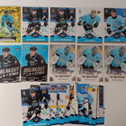 Blueline 2026/2027 Pelicans lotti - pikkukuva 1