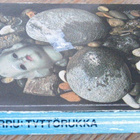SaPo 181. Massimo Felisatti Fabio Pittorru: Tyttörukka. 147s - pikkukuva 2