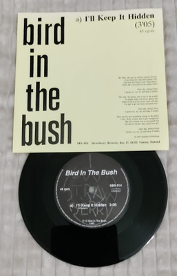 Bird In The Bush I'll Keep It Hidden 7"single