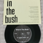 Bird In The Bush I'll Keep It Hidden 7"single - pikkukuva 1