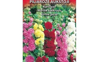 Tarhasalkoruusu 'Summer Carnival' sekoitus - siemenet*