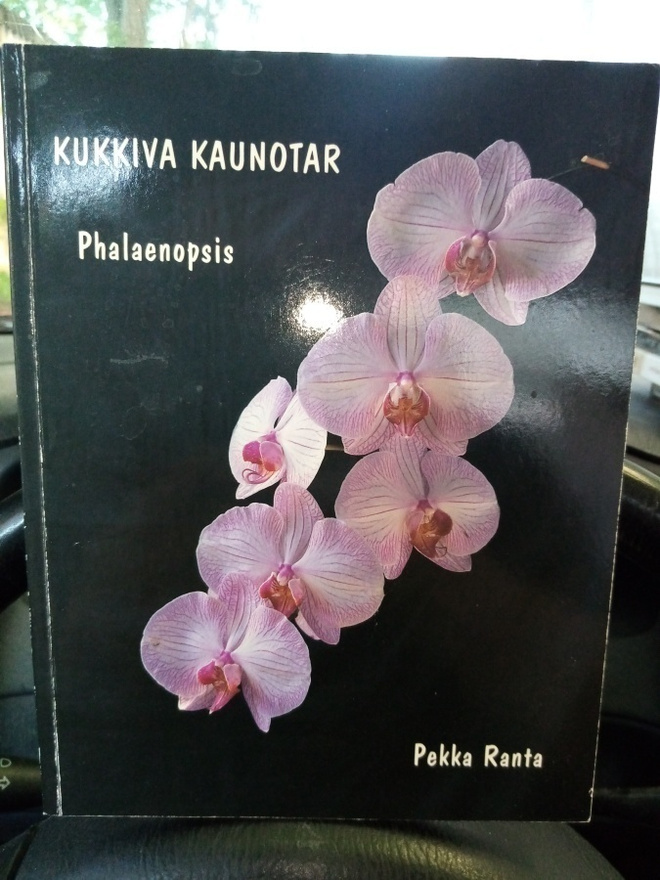 PEKKA RANTA : KUKKIVA KAUNOTAR - PHALAENOPSIS
