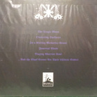 WARMOON LORD - BURNING BANNERS OF THE FUNEREAL WAR - UUSI LP - pikkukuva 2