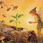 Keijukainen ja vihreä verso - pikkukuva 1