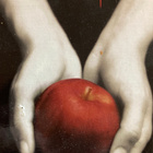 STEPHENIE MEYER: HOUKUTUS - pikkukuva 1