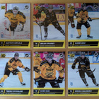 2025-26 Blueline Series 2 SaiPa Team Set 12 korttia (325-336 - pikkukuva 1