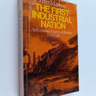 Peter Mathias : The First Industrial Nation : An Economic... - pikkukuva 1