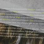 Laura Lindstedt : Oneiron - Bookwell 4.p 2015 - pikkukuva 3