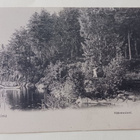 Jaakkima, Käärmeniemi, leidi poimii lehdeksiä, p. 1908 - pikkukuva 1
