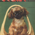 Seura n:o 10 1959 Parikkala. Sirkka & Kaarlo he tanssivat en - pikkukuva 1
