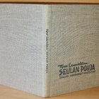 Tapani Lemminkäinen : Seulan pohja - pikkukuva 1