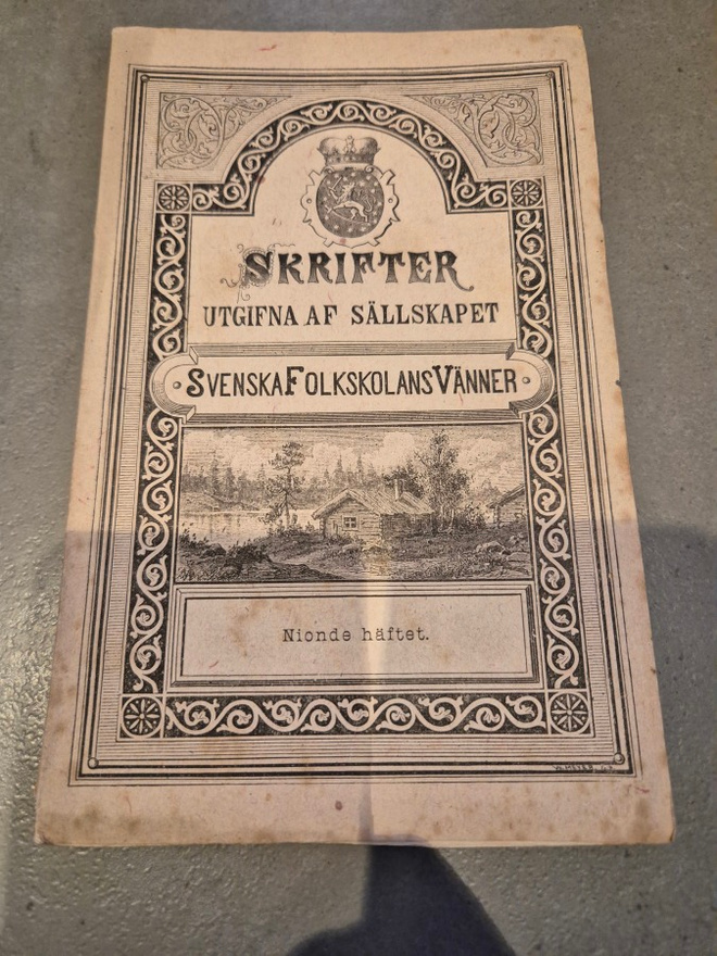 Nordmann: Under skilda fanor (Helsingfors 1885)