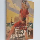 T. Rautapalo-Rapp : Finn Jousimies : kertomus viikinkiajalta - pikkukuva 1