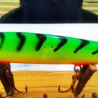 Rapala  husky  vaappu  Räminäkuulilla 11,5cm Finland - pikkukuva 5