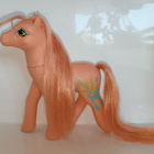 My little pony G1 SHS Wild Flower - pikkukuva 1