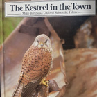 animal habitats - the kestrel in the town mike birkhead - pikkukuva 1