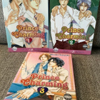 PRINCE CHARMING (OSAT 1 - 3) YAOI MANGA , ENGL. - pikkukuva 1