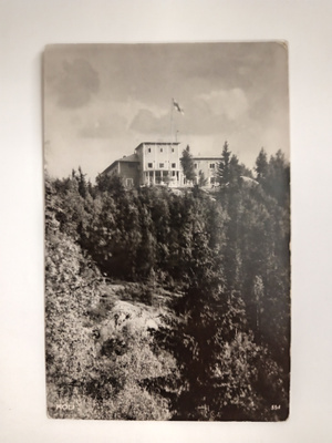 Koli