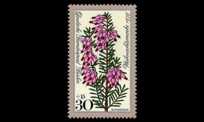 Berlin 514 ** Joulu (1975)