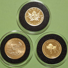 3 x 1/4 oz kulta rahaa: USA Eagle + Maple Leaf + Kangaroo - pikkukuva 1