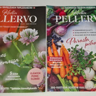 Kodin Pellervo lehti (2020-2025 valikoima) - pikkukuva 4