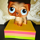 LPS Littlest Pet Shop #1313 Mopsi / Pug - pikkukuva 1