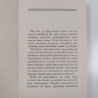 Arvid Järnefelt : Minun Marttani - pikkukuva 3