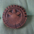 ROTARY Pronssimitali - pikkukuva 2