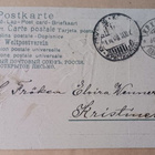 Hevonen katselee koiranpentuja ruokintakaukalossa, p. 1909 - pikkukuva 2