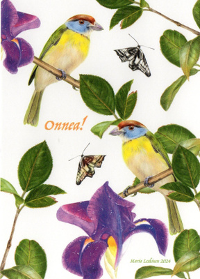Onnea!