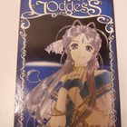Sarjakuvat 10. Manga Oh! my Goddess 1, 2007 - pikkukuva 1