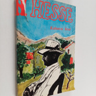 Hermann Hesse : Katoava kesä : kertomuksia - pikkukuva 1