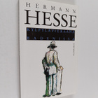 Hermann Hesse : Kylpylävieraana Badenissa - pikkukuva 1