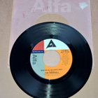THE MONROES SINGLE 7" ALF - 7119 ALFA - pikkukuva 1