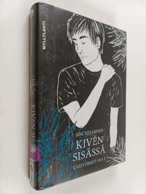 Sini Helminen : Kiven sisässä : vuoren kirja