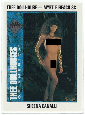 1992 Thee Dollhouses of America #20 Sheena Canalli