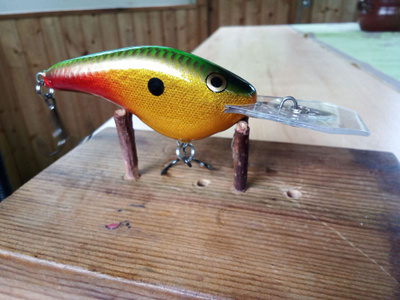 Rapala Dives to 9 Ft 8cm