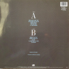 Lou Gramm : Long Hard Look - LP - pikkukuva 4