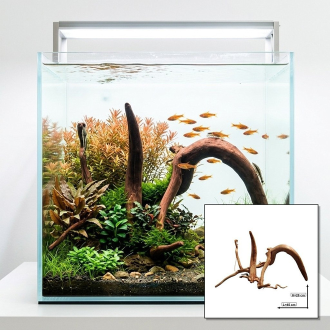 Uniikki akvaariojuurakko 45 cm | S2162622