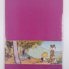 Bill Watterson : Håller du balansen, Kalle? - pikkukuva 2