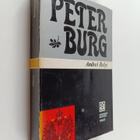 Andrej Belyj : Peterburg - pikkukuva 1