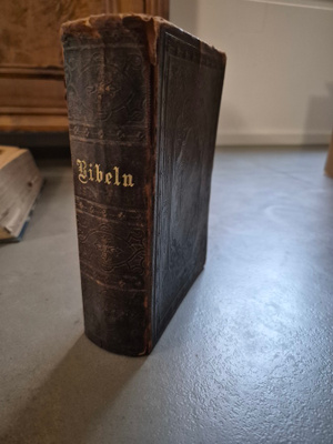 Bibeln (v. 1895)