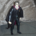 Hahmo Harry Potter - pikkukuva 1