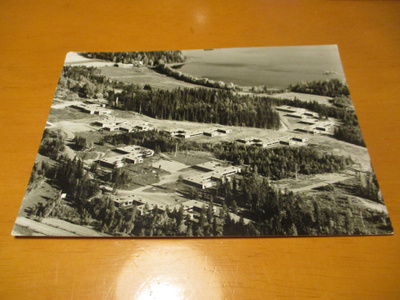 Lammi -1971