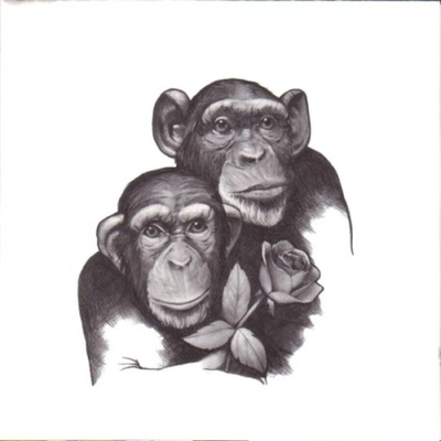 ** THE CRASH : Pony Ride ** CD