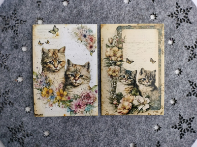 ~Kissa kortti~ 2kpl