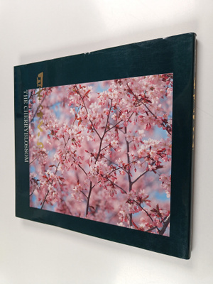 The cherry blossom