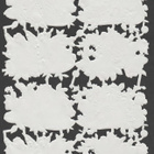 * PZB 1350, upeat ruusut tossuissa - arkki,* - pikkukuva 2