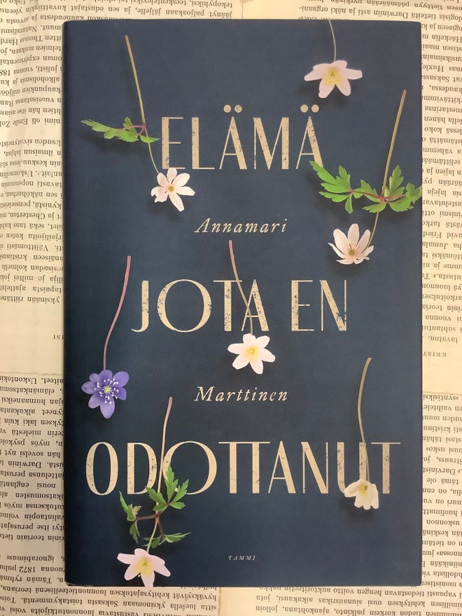 Annamari Marttinen - Elämä jota en odottanut (sid.)