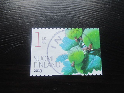 Puutarhamarjoja (lape 2212) 2013